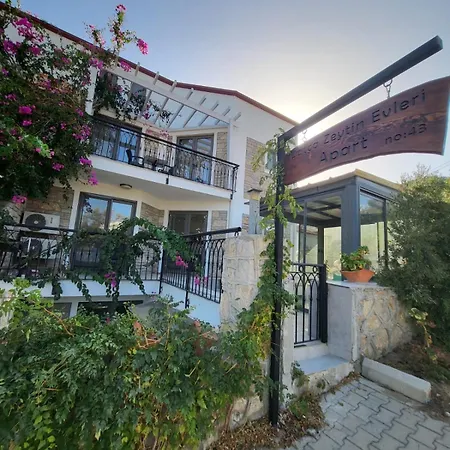 Апартаменты Zeytinevleri